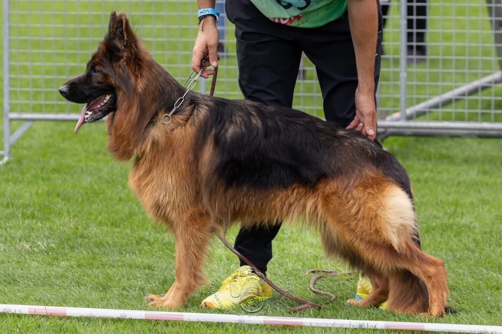 Vittel Des Trois Lieux